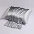 100% Mulberry Silk Envelope Pillowcase – 16 Momme, Double-Sided, Machine Washable, Anti Dust Mite