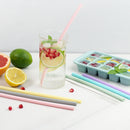 Reusable Silicone Straw Set of 6 Pieces